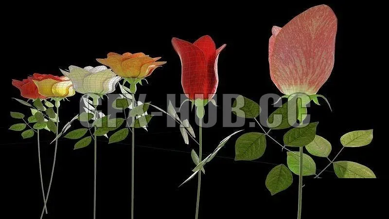 PBR Game 3D Models – –gfx-hub.cc–Roses collection