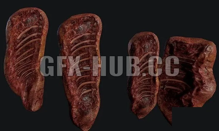 PBR Game 3D Models – $GFX-HUBdotCC$Meat gore