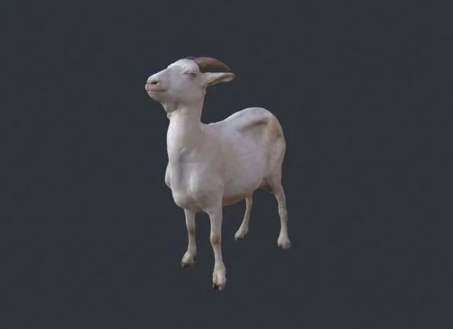PBR Game 3D Models – Goat