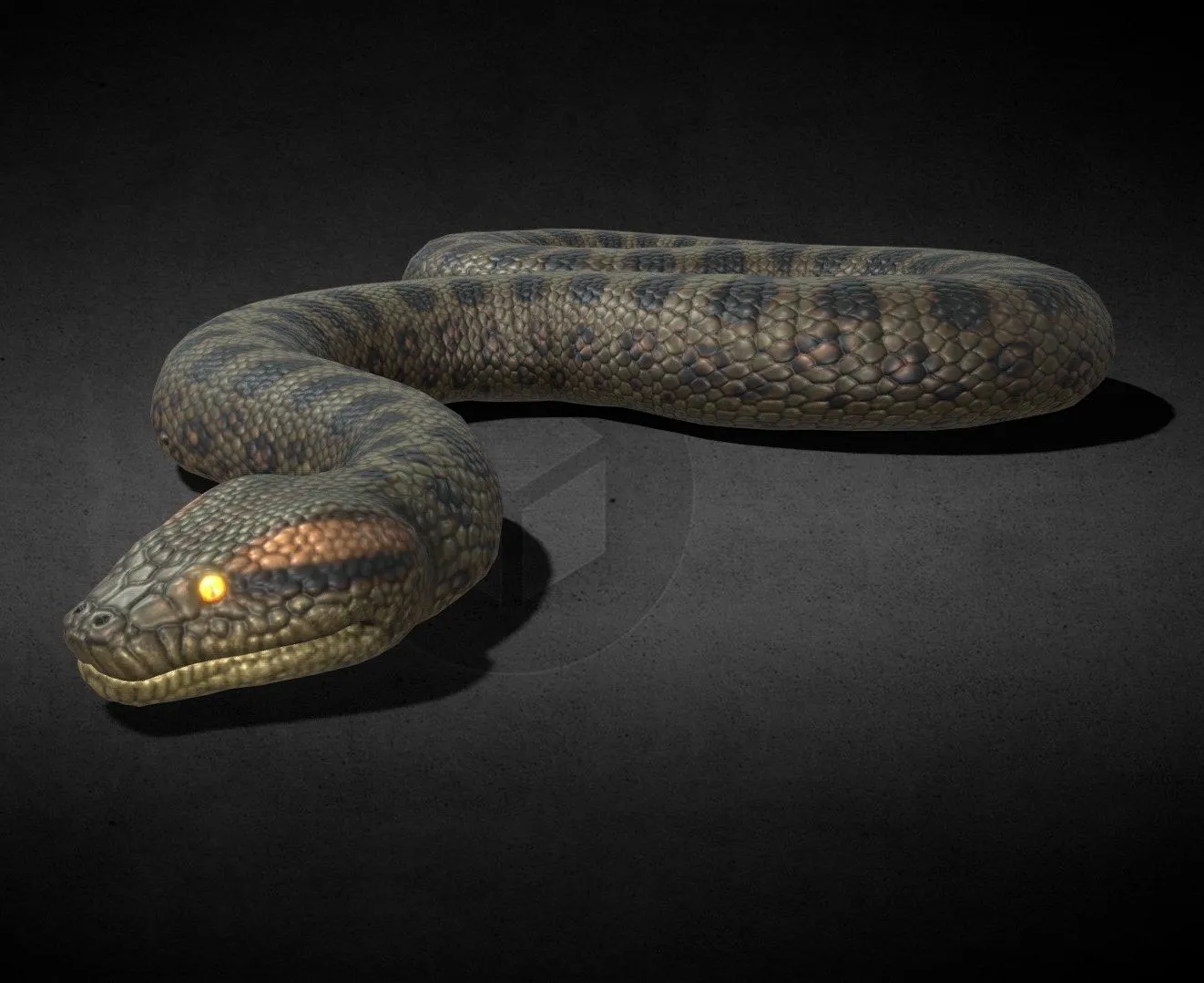 PBR Game 3D Models – Green Anaconda