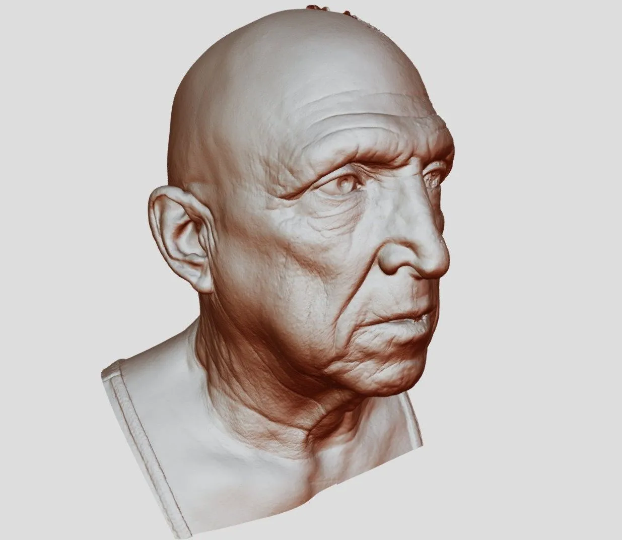 PBR Game 3D Models – Head Scan