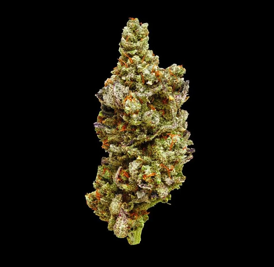 PBR Game 3D Models – Hella Jelly Cannabis Model