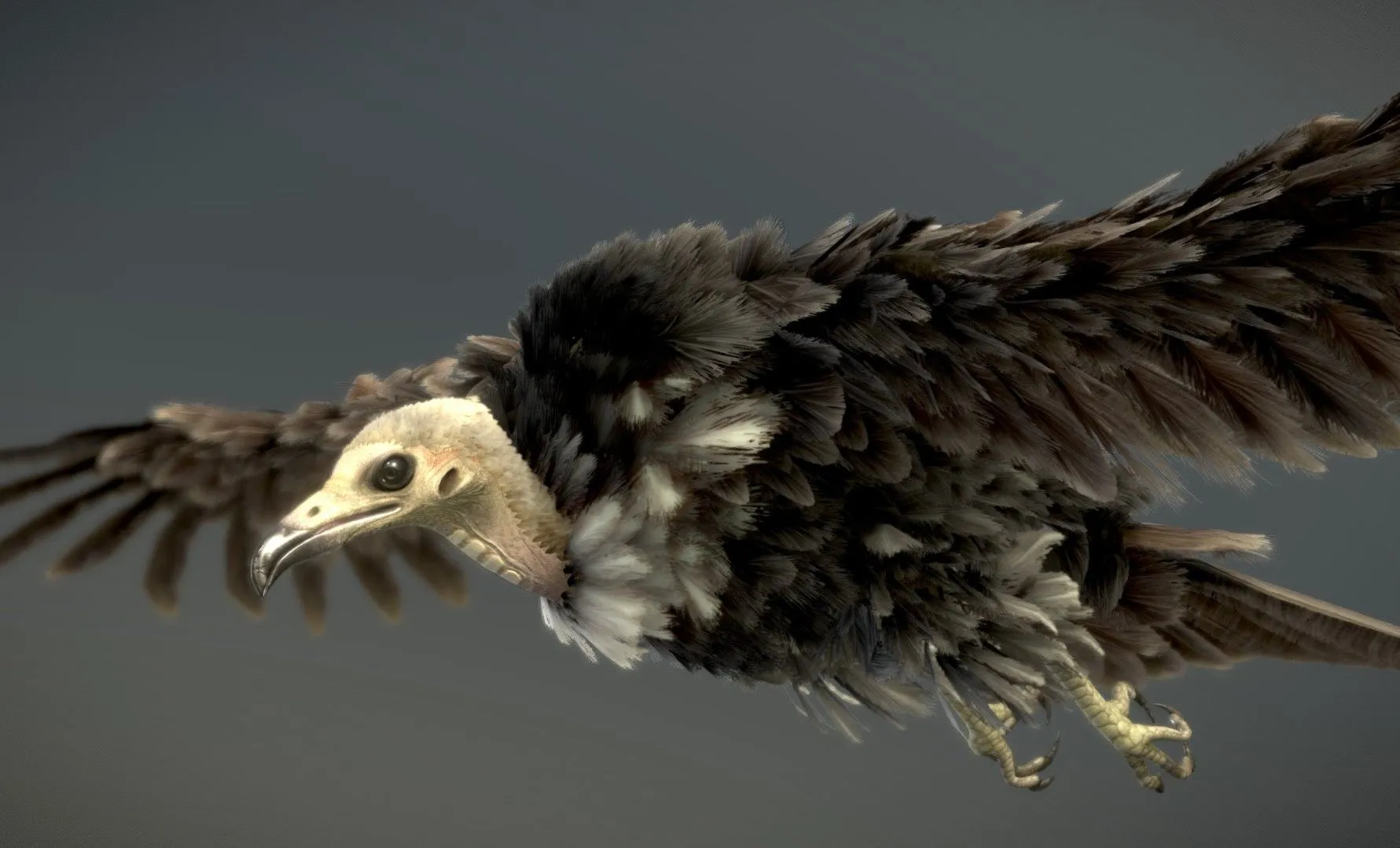 PBR Game 3D Models – Hooded Vulture (2)