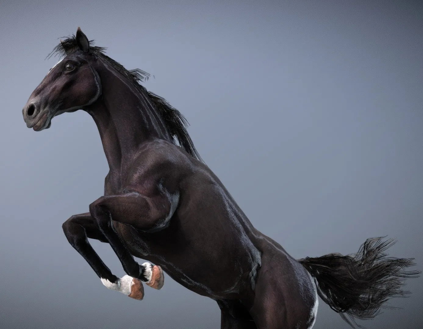 PBR Game 3D Models – Horse Spanish Mustang Black