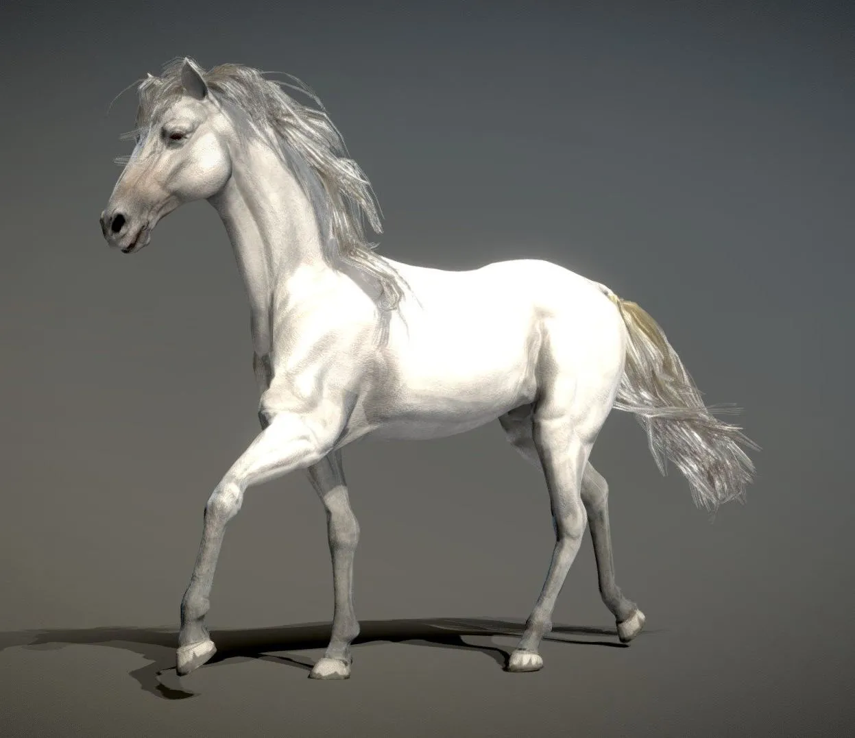 PBR Game 3D Models – Horse Spanish Mustang White