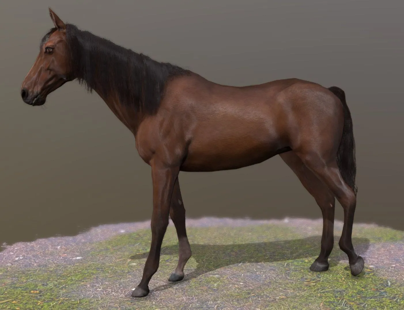 PBR Game 3D Models – Horse Standing Pose 2