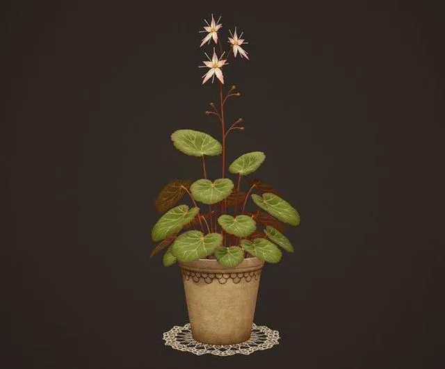 PBR Game 3D Models – House Plant