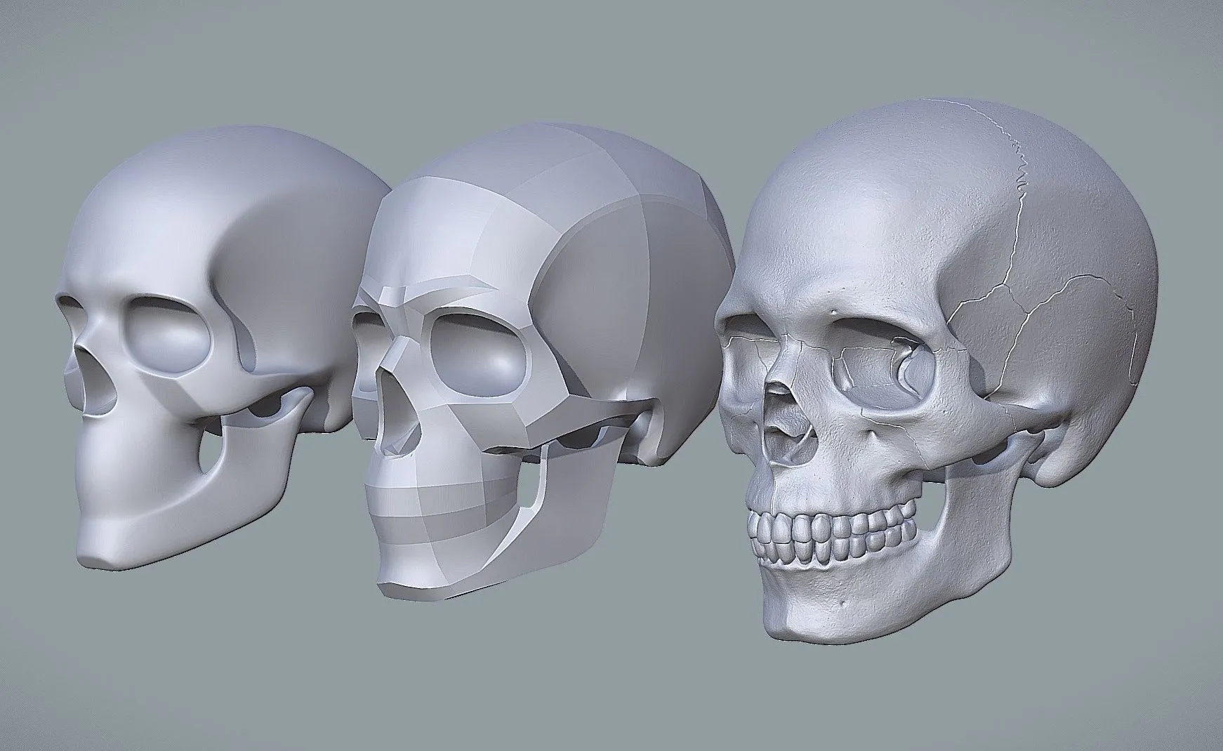 PBR Game 3D Models – Human Skull For Artist Study Pack