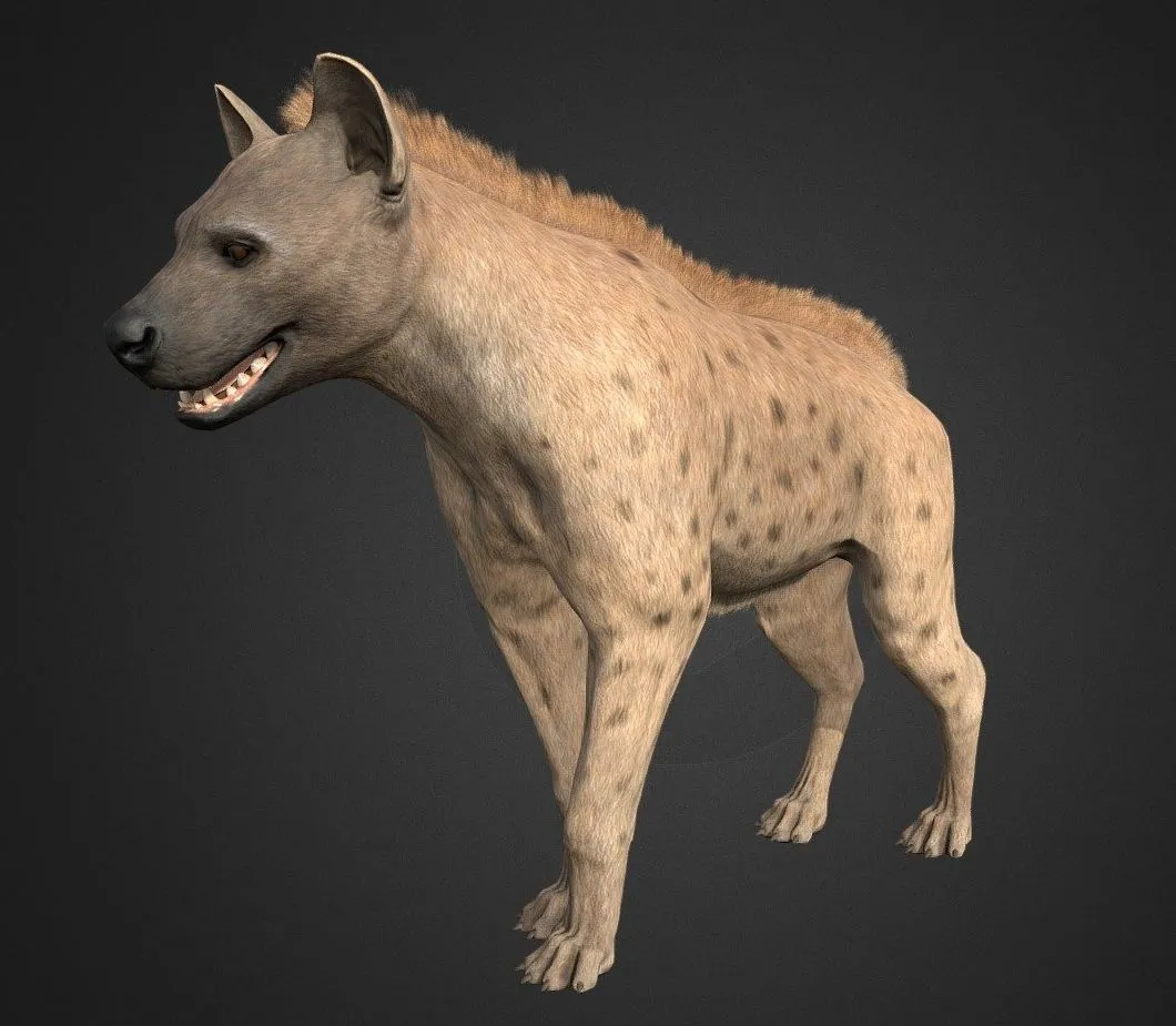 PBR Game 3D Models – Hyena