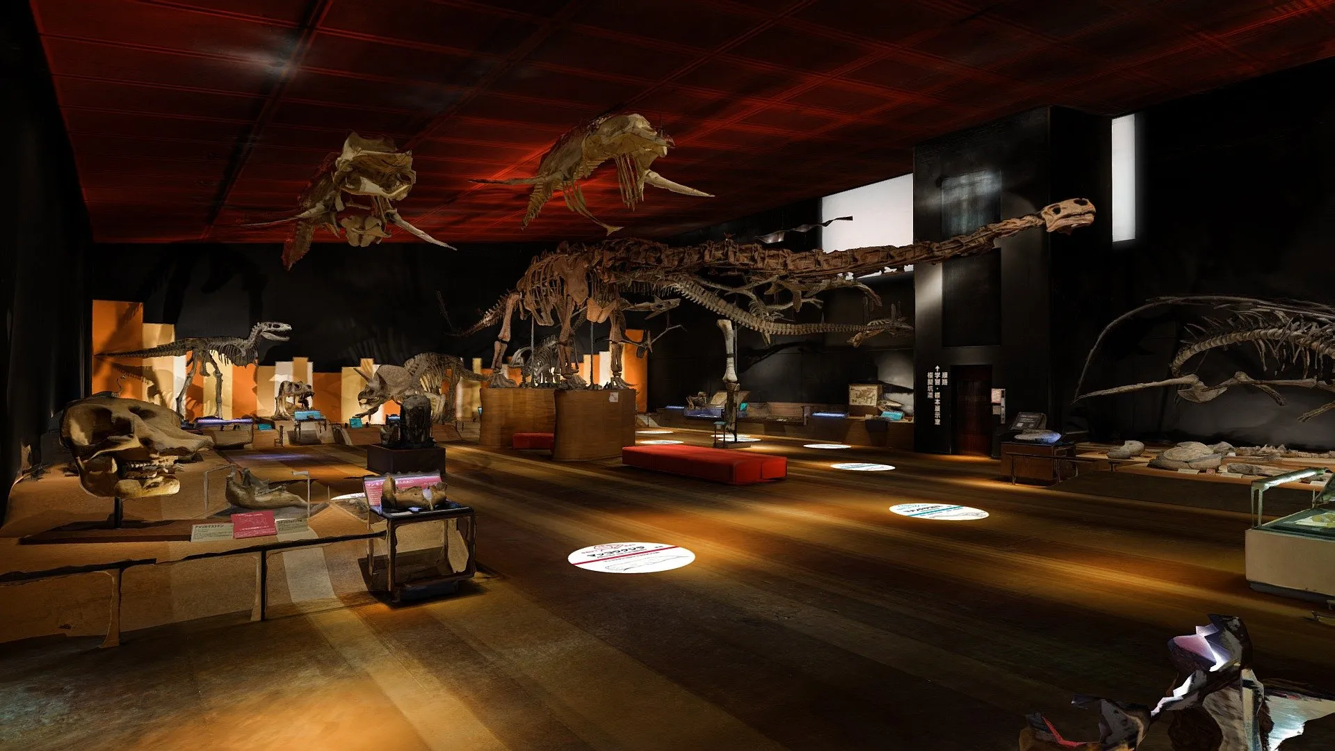 PBR Game 3D Models – Iwaki City Museum Of Coal And Fossilsjapan