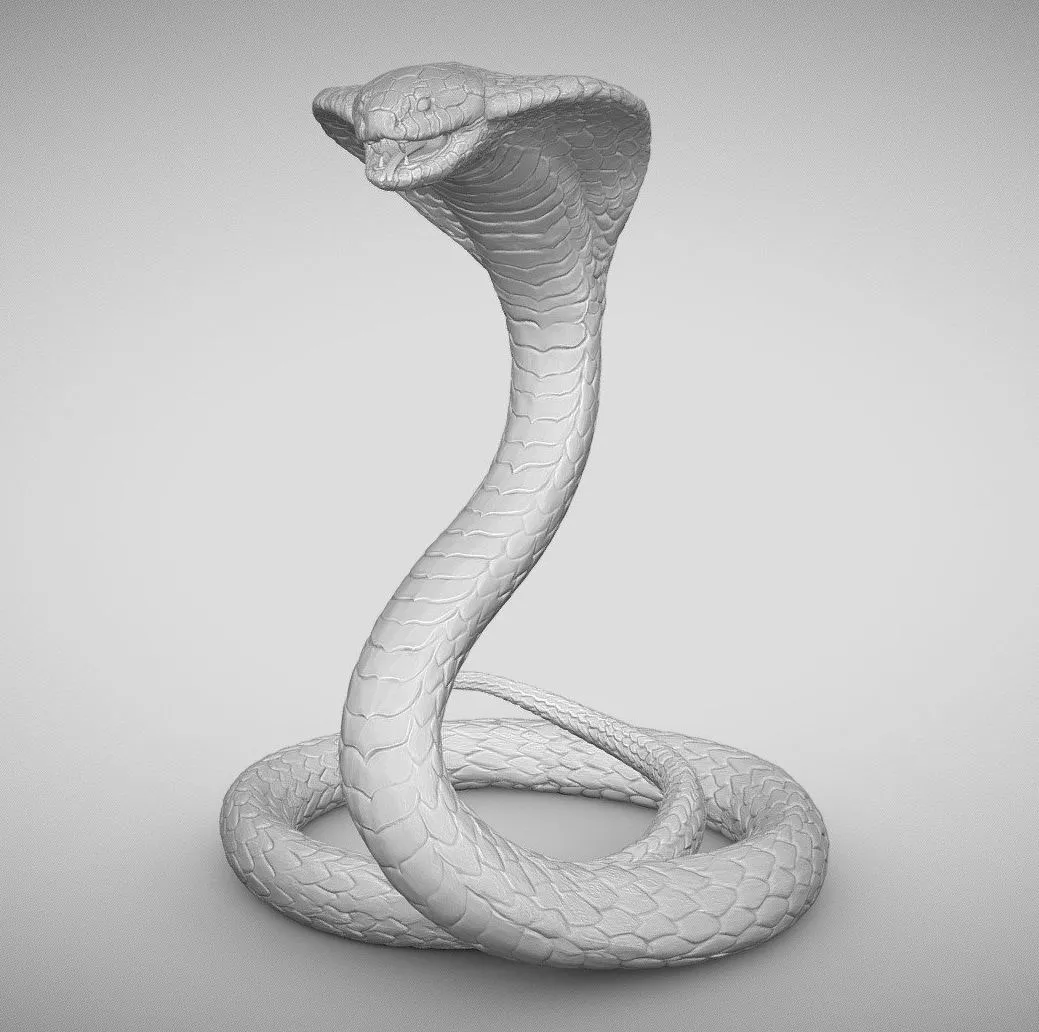 PBR Game 3D Models – King Cobra