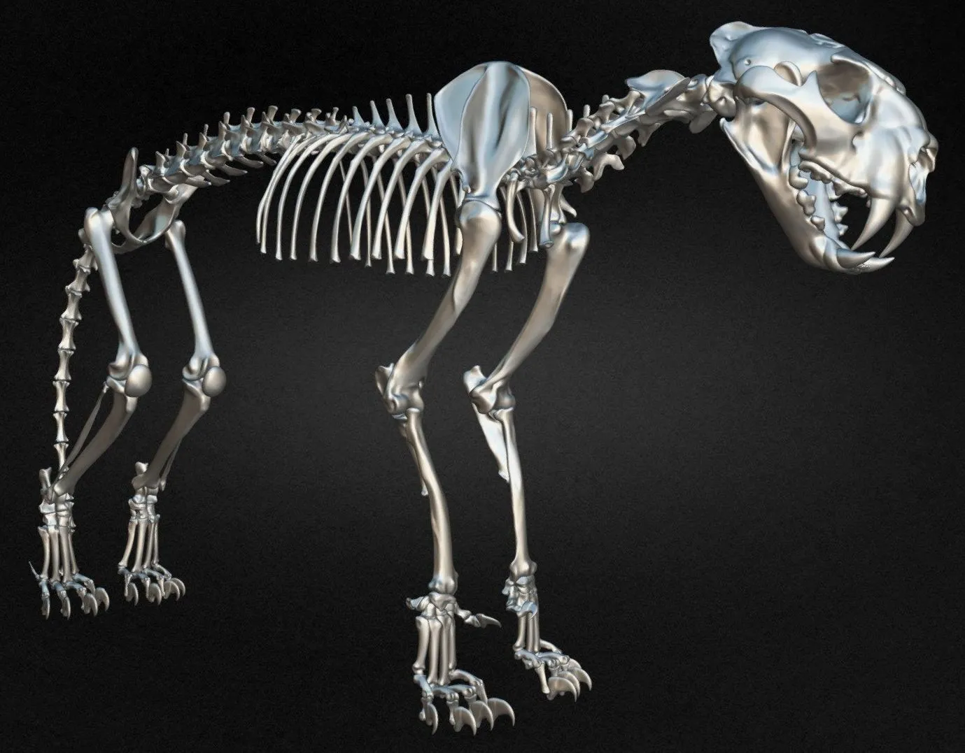 PBR Game 3D Models – Leopard Skeleton 3D Model