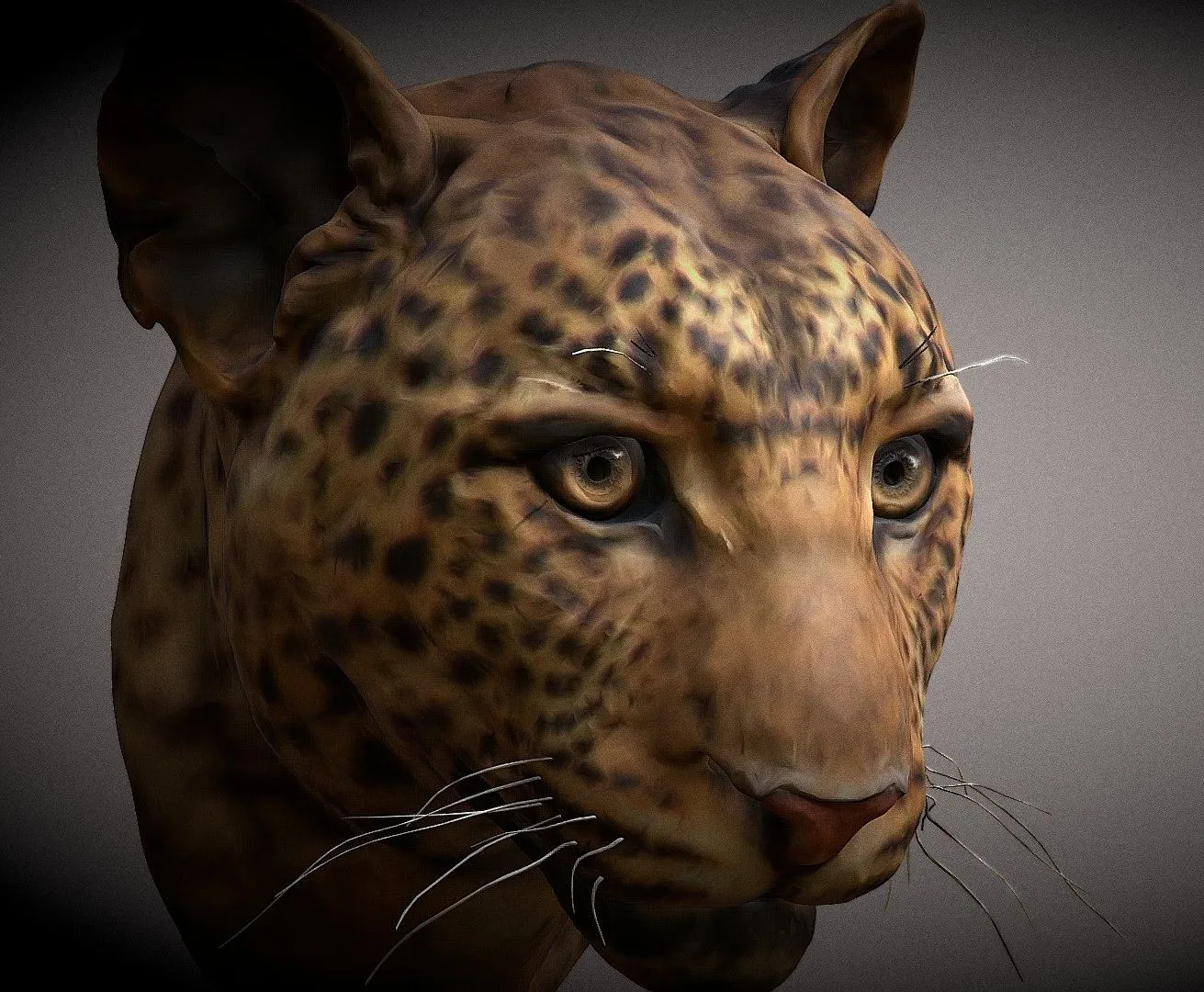 PBR Game 3D Models – Leopard
