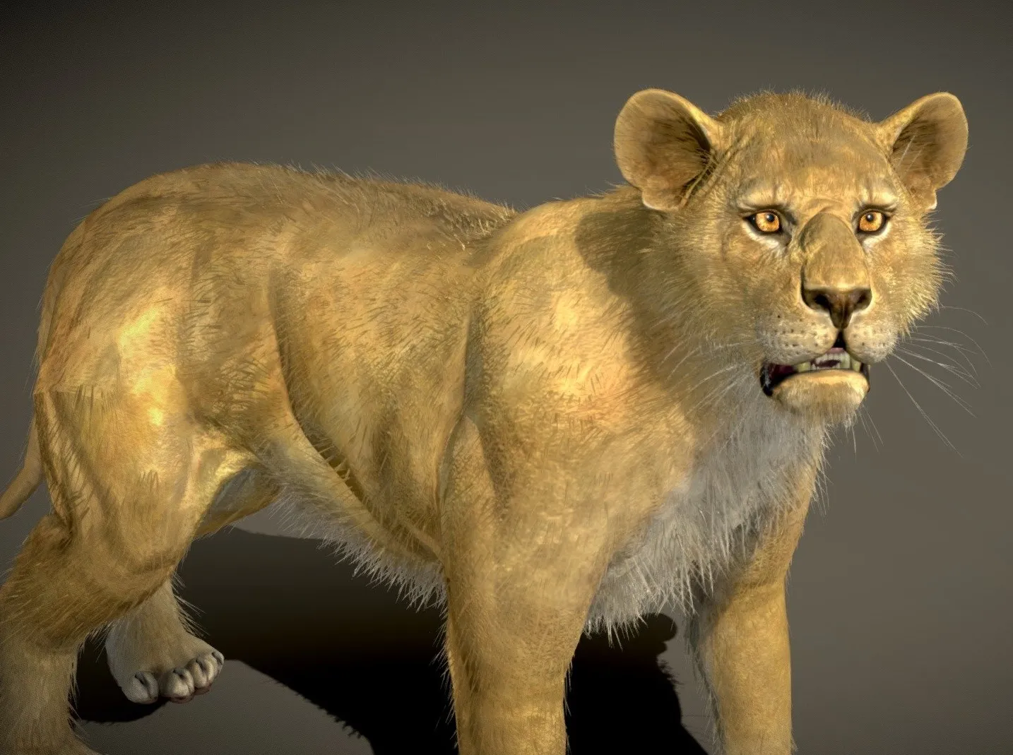 PBR Game 3D Models – Lion