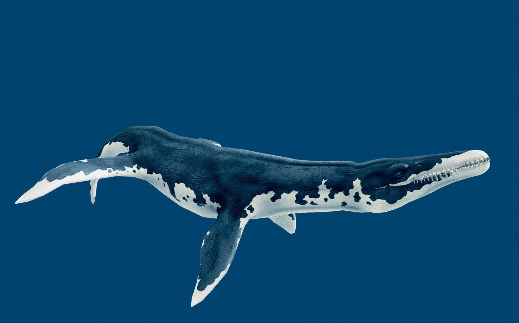 PBR Game 3D Models – Liopleurodon Ferox Swim Cycle