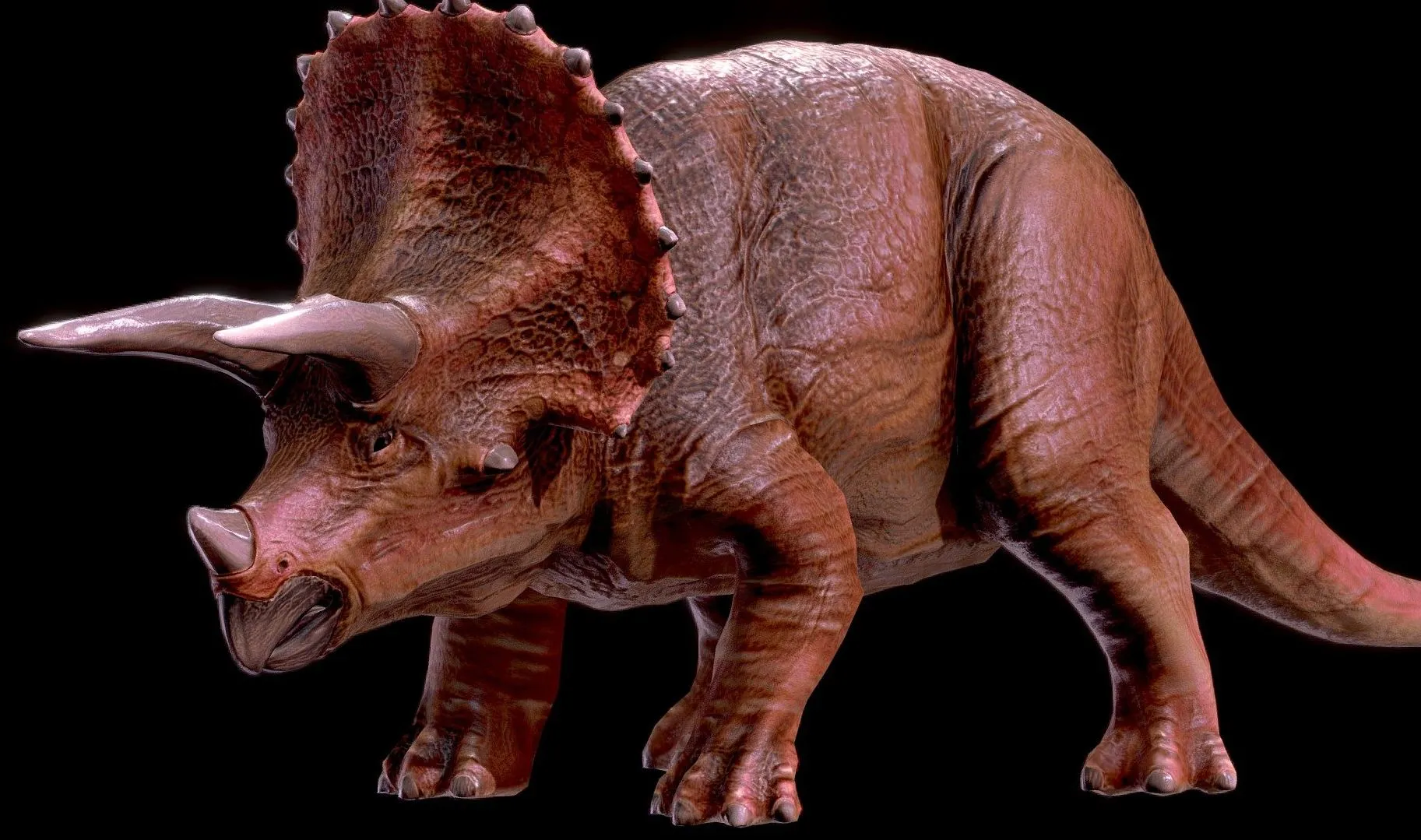 PBR Game 3D Models – Low Poly Realistic Dinosaur Triceratops