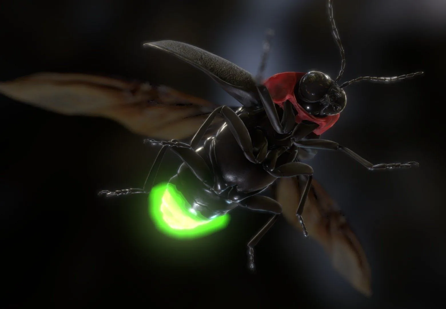 PBR Game 3D Models – Luciola lateralis Japanese Fire Fly