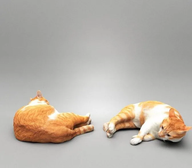 PBR Game 3D Models – Lying cat 43