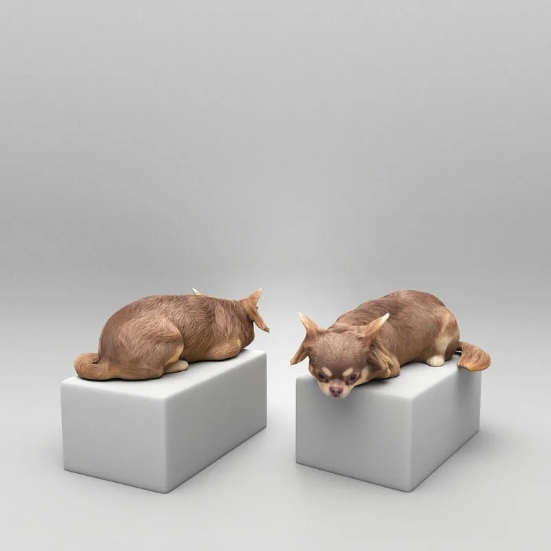 PBR Game 3D Models – Lying dog 42