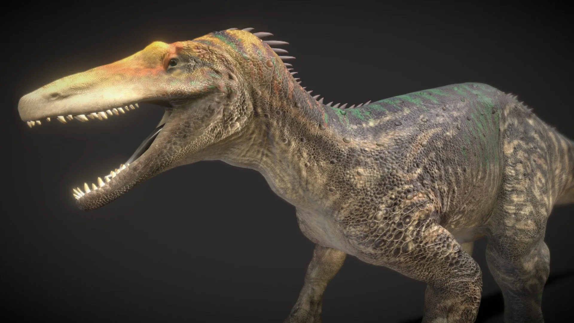 PBR Game 3D Models – Maip Macrothorax