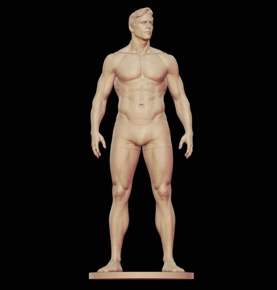 PBR Game 3D Models – Male Anatomy Study