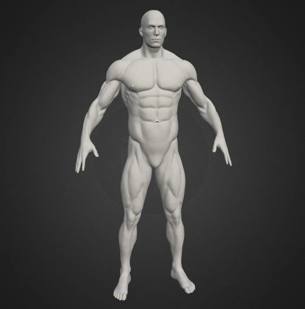 PBR Game 3D Models – Male Body 2