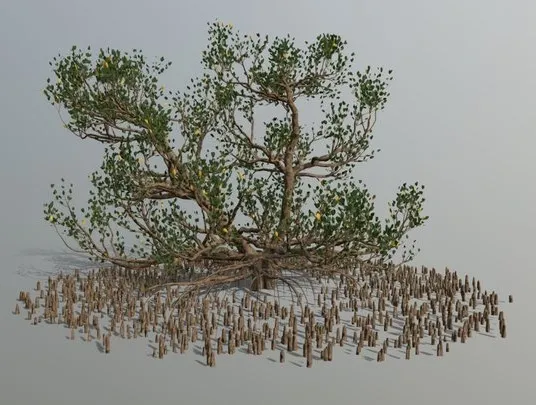 PBR Game 3D Models – Mangrove
