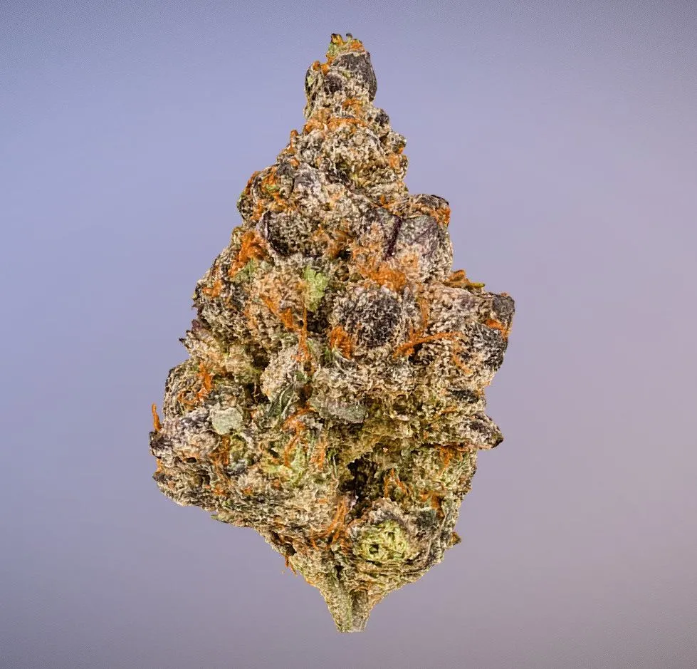 PBR Game 3D Models – Marijuana Flower 2