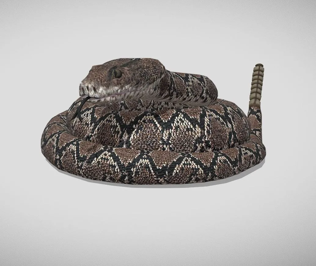 PBR Game 3D Models – Medhue Rattlesnake