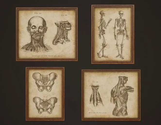 PBR Game 3D Models – Medical Pictures