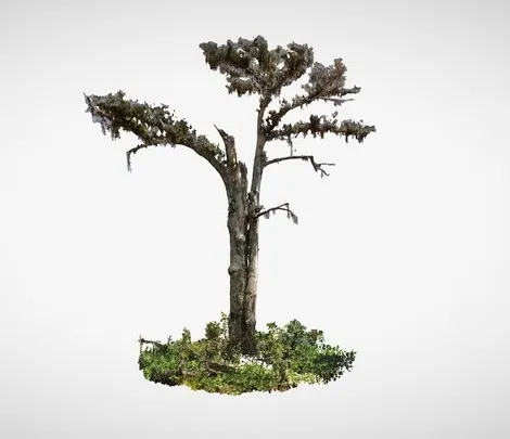 PBR Game 3D Models – Monarch Of The Swamp