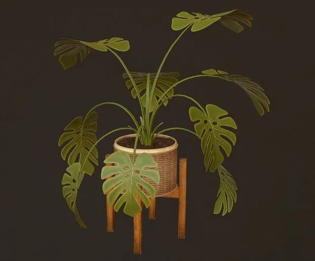 PBR Game 3D Models – Monstera Plant