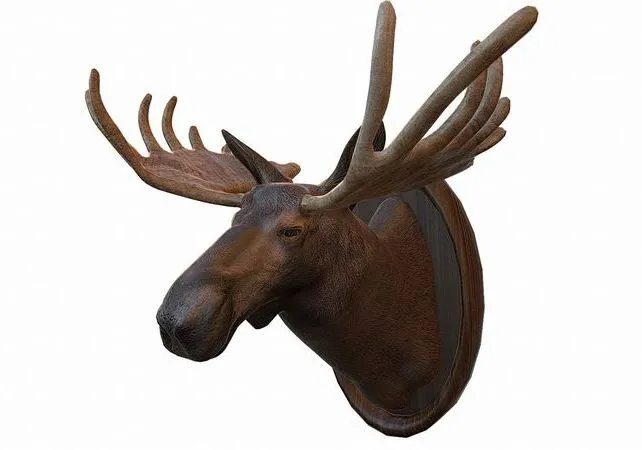 PBR Game 3D Models – Moose Head Taxidermy