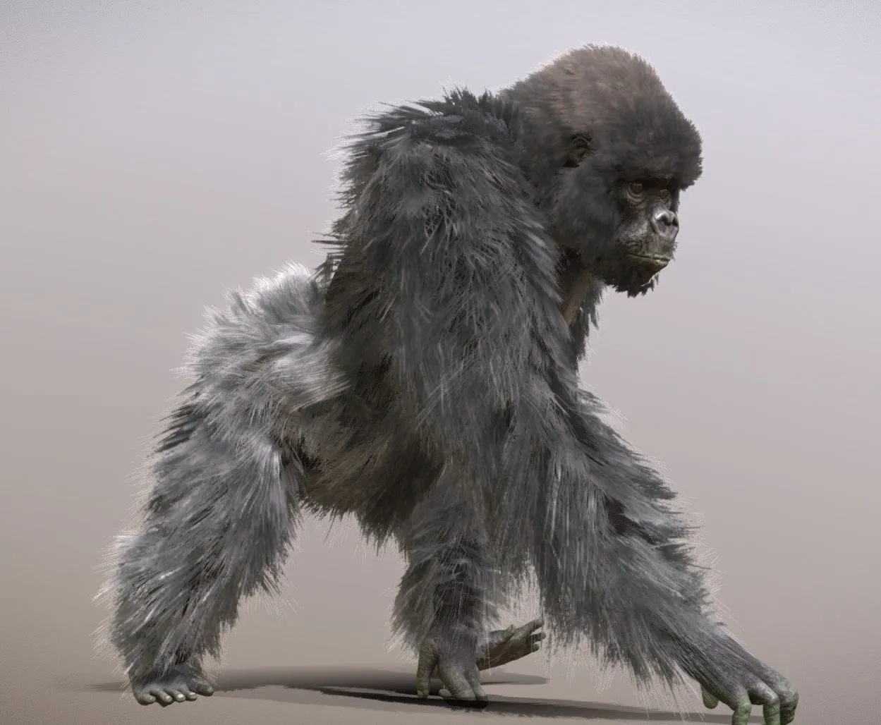 PBR Game 3D Models – Mountain Gorilla