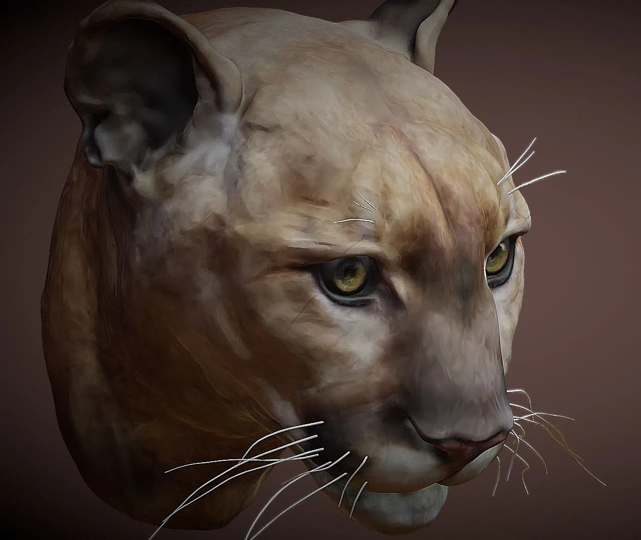 PBR Game 3D Models – Mountain Lion