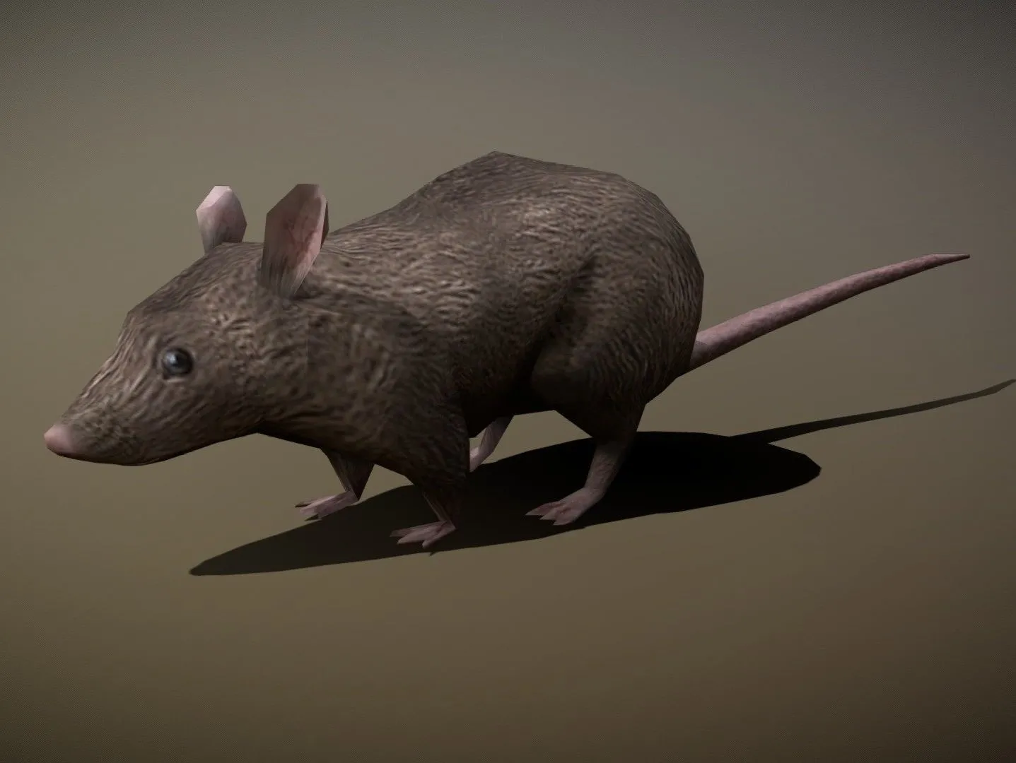 PBR Game 3D Models – Mouse Gray Rat Animated