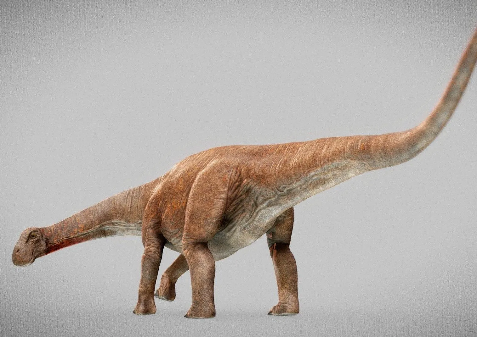 PBR Game 3D Models – Nigersaurus