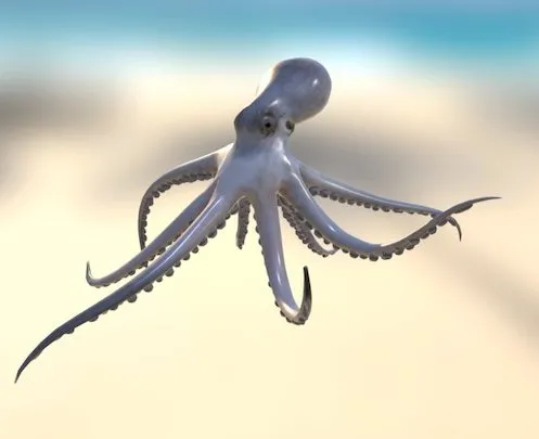 PBR Game 3D Models – Octopus