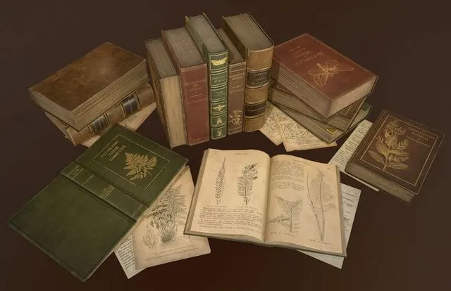 PBR Game 3D Models – Old Books set