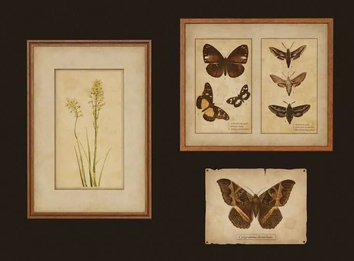 PBR Game 3D Models – Old Picture Frames