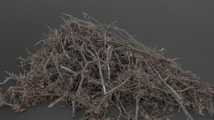 PBR Game 3D Models - Old Tree Branches Pile