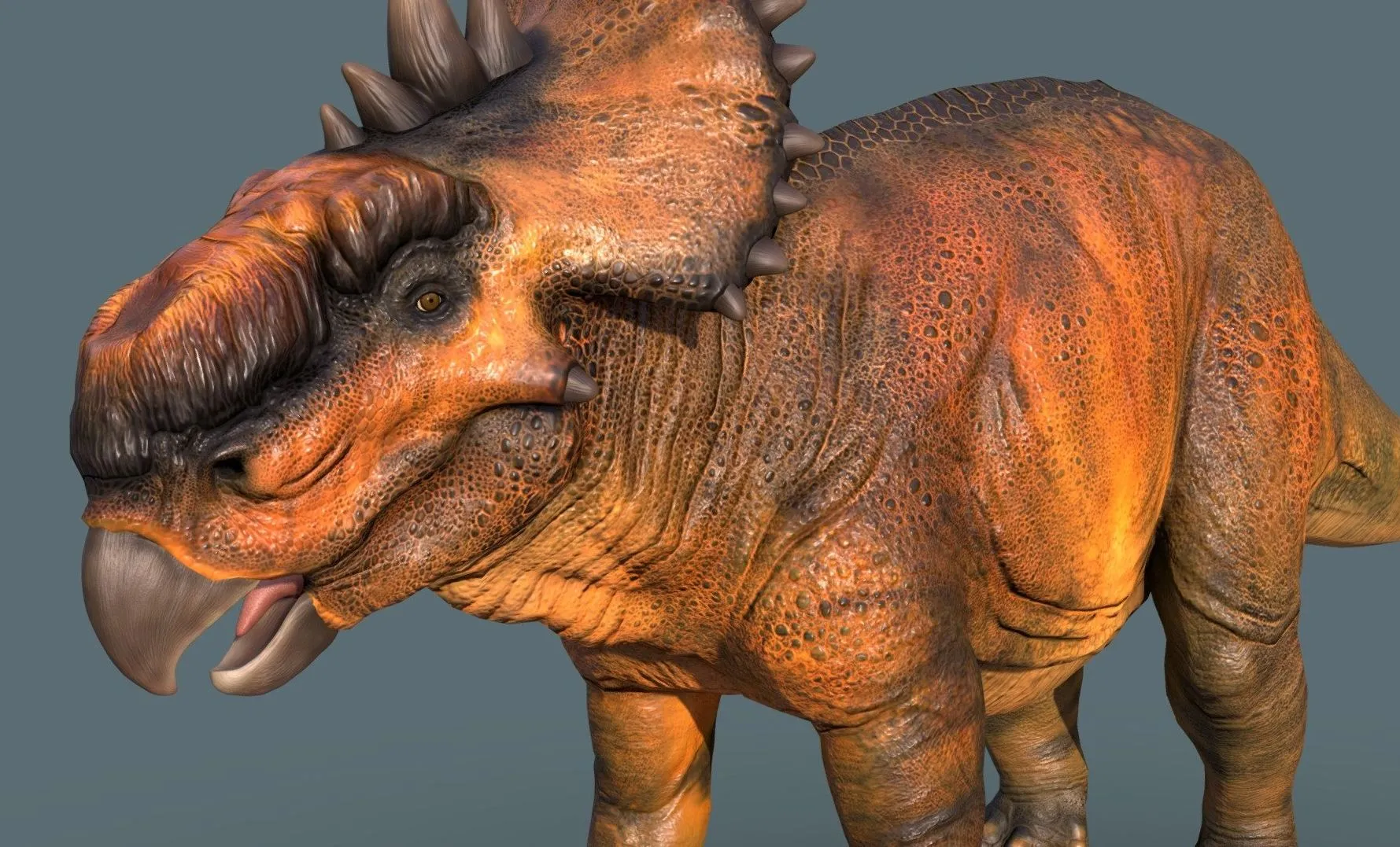 PBR Game 3D Models – Pachyrhinosaurus