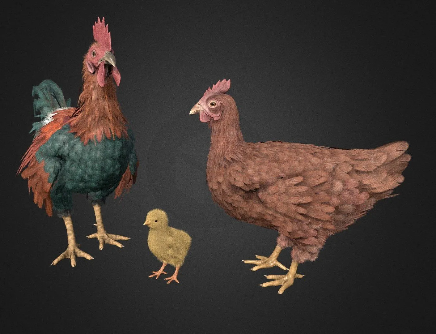 PBR Game 3D Models – Pack Of Feathered Chickens