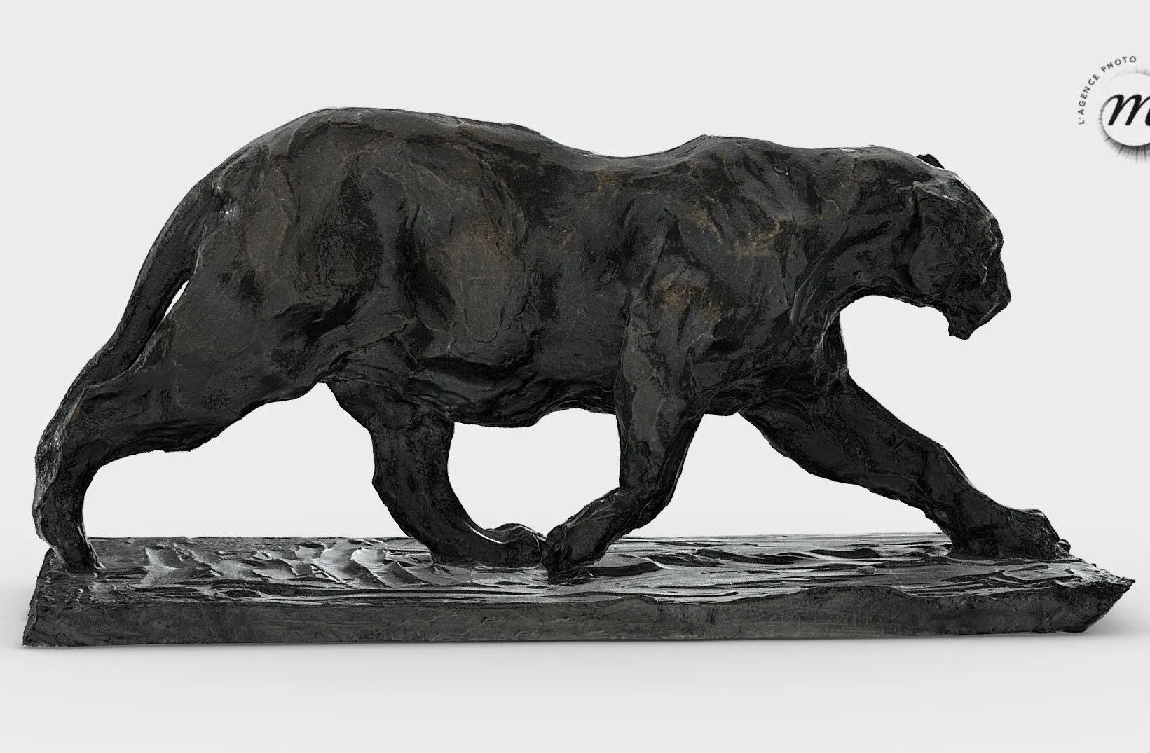 PBR Game 3D Models – Panthere Marchant