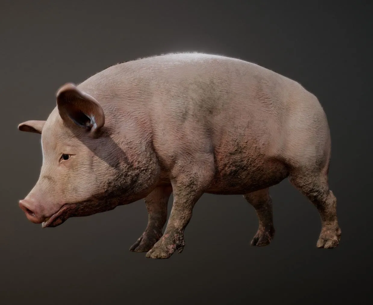 PBR Game 3D Models – Pig Animations