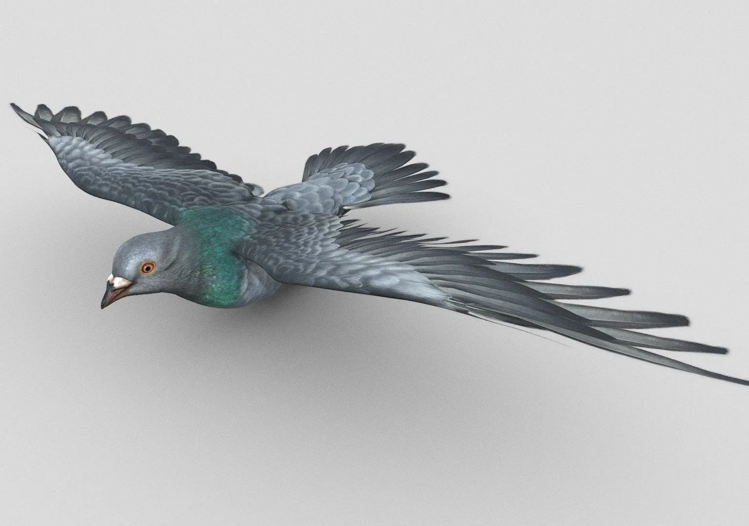 PBR Game 3D Models – Pigeon Flying