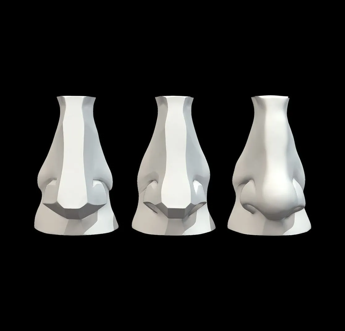 PBR Game 3D Models – Planes Of The Nose Davids Nose