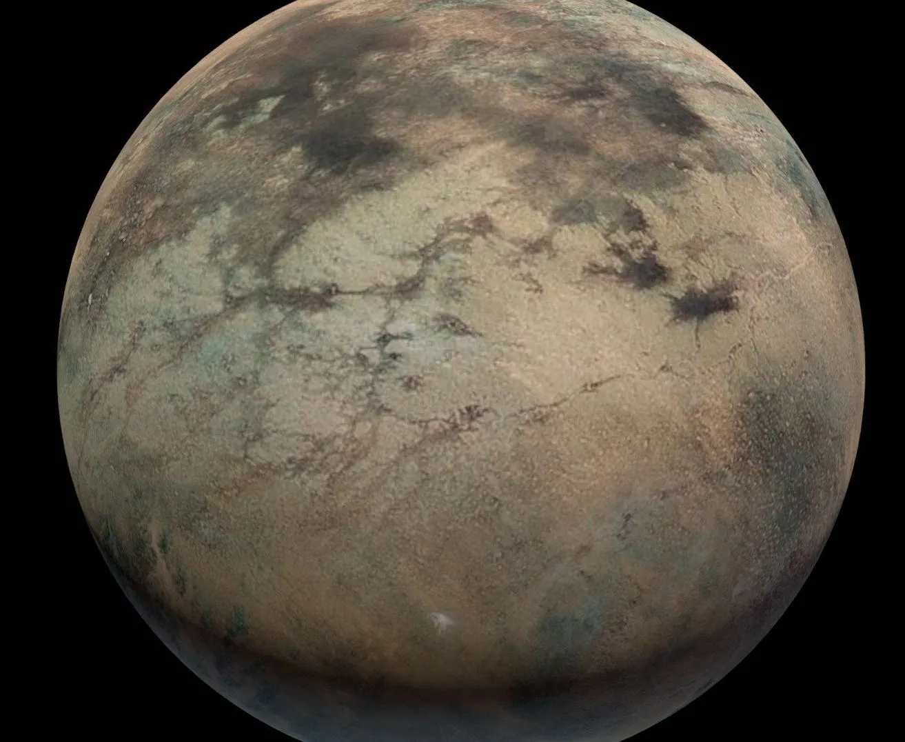 PBR Game 3D Models – Planet Dagobah