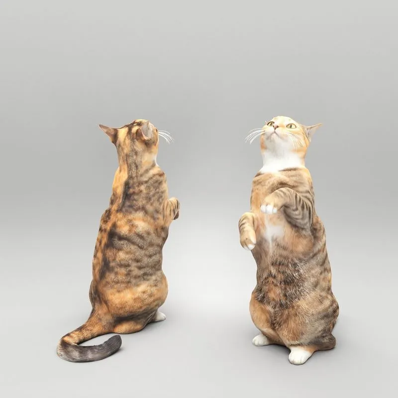 PBR Game 3D Models – Playful cat 41