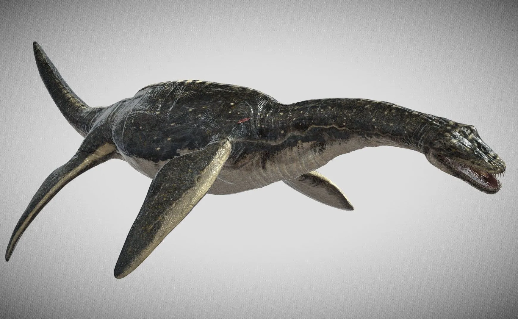 PBR Game 3D Models – Plesiosaurus 3D Rigged Model